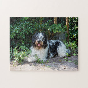 mooie hond legpuzzel