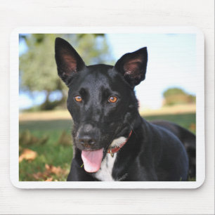 Mooie hond met hazelnootkleurige ogen muismat
