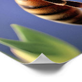 Mooie Honingbij en Bloem Poster Home Decor (Hoek)