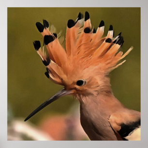 Mooie hoopvogel met kroon op veren poster
