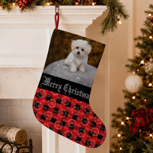 Mooie huisdier foto Kerstmis Kleine Kerstsok