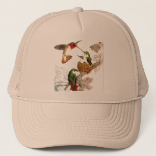 Mooie Hummingvogels Foto Trucker Pet