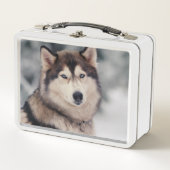 Mooie Husky in de buitenlucht (Voorkant)