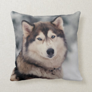 Mooie Husky in de buitenlucht Kussen