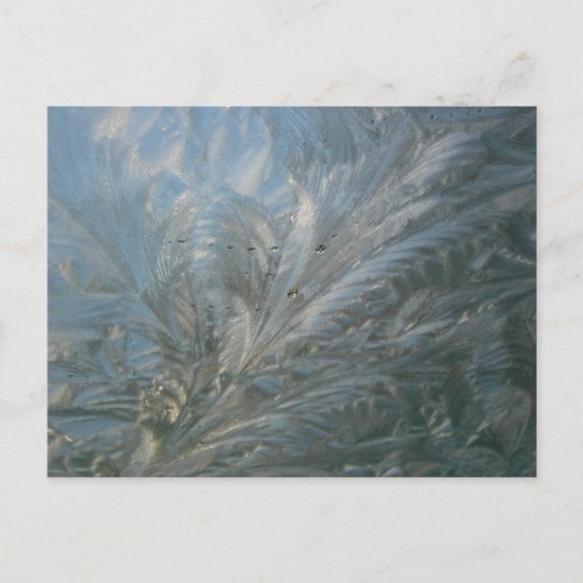 Mooie Ice Flower DIY Briefkaart (Voorkant)