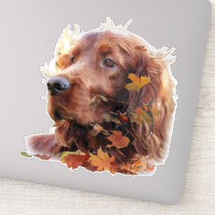 Mooie Ierse rode setter Sticker