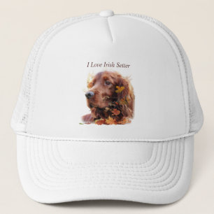 Mooie Ierse rode setter Trucker Pet