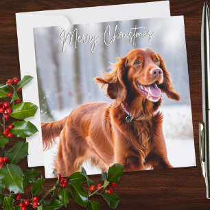 Mooie Ierse Roodharige Setter Hond Christmas Feestdagenkaart