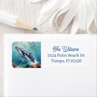 Mooie Impasto Walvis Oceanische Illustratie Etiket