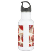 Mooie internationale cricket rood lederen bal kuns waterfles  (Achterkant)