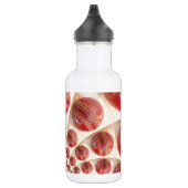 Mooie internationale cricket rood lederen bal kuns waterfles  (Rechts)