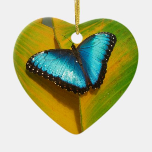 Mooie Iridescent Butterfly Keramisch Ornament (Voorkant)