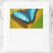 Mooie Iridescent Butterfly Rechthoekige Sticker (Tas)