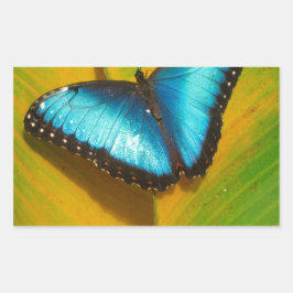 Mooie Iridescent Butterfly Rechthoekige Sticker