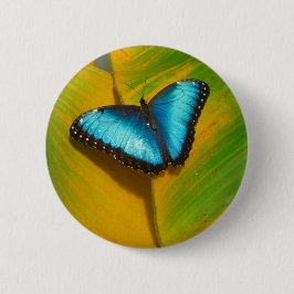 Mooie Iridescent Butterfly Ronde Button 5,7 Cm