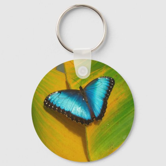 Mooie Iridescent Butterfly Sleutelhanger (Voorkant)
