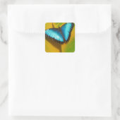 Mooie Iridescent Butterfly Vierkante Sticker (Tas)