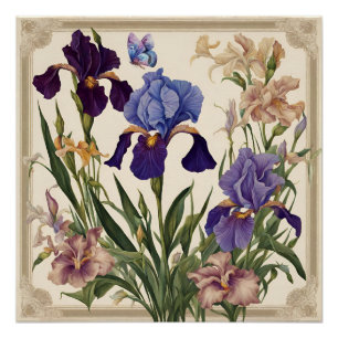 Mooie iris bloem bloeit perfect poster
