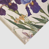 Mooie iris bloem bloeit tissuepapier (Detail)