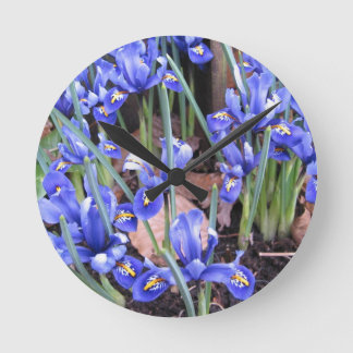 MOOIE IRIS RONDE KLOK