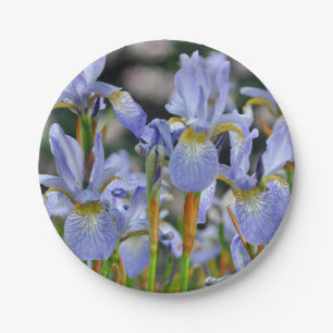 Mooie irisbloemen papieren bordje