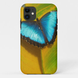 Mooie iriserende vlinder iPhone 11 hoesje