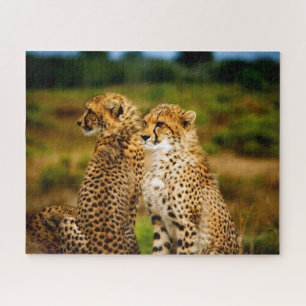 Mooie Jachtluipaard Broers en Zusters, Legpuzzel