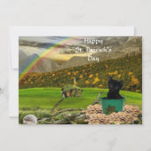 Mooie Jack The Cat's St. Patrick's Day (Voorkant)