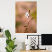 Mooie Japanse abrikozenbloem Poster (Thuiskantoor)