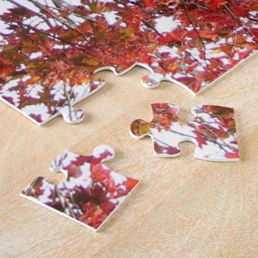 Mooie Japanse rottentuin met Pagoda Legpuzzel (Zijkant)