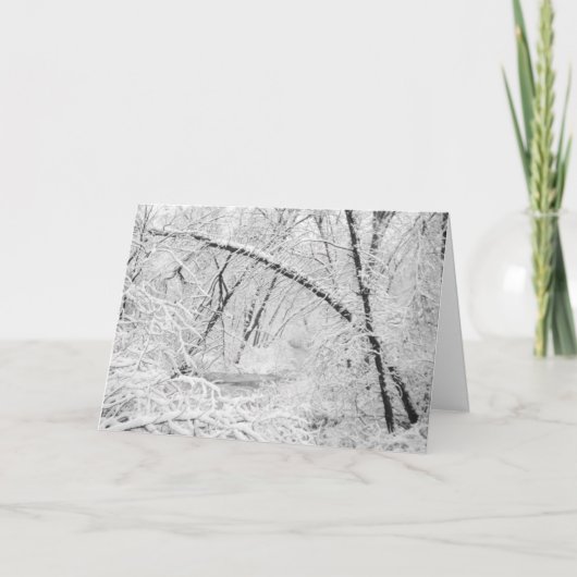 Mooie jaren 1950 Sneeuwwitje Bedekte Houten Creek Feestdagen Kaart (Voorkant)