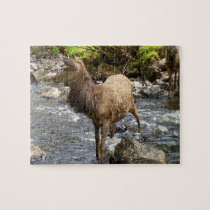 Mooie Jonge Herten bij Rivier Scène Bos Wilde Dier Legpuzzel