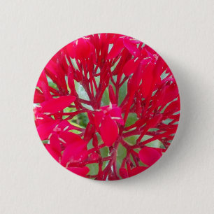 Mooie Kaleidoscoop van Kleurrijke Rode Milkweed Ronde Button 5,7 Cm