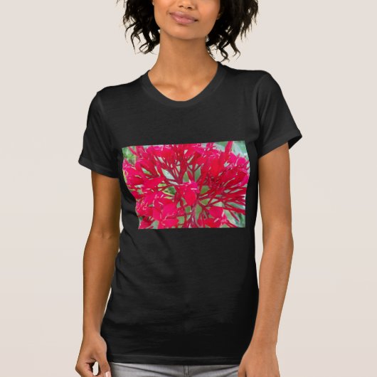 Mooie Kaleidoscoop van Kleurrijke Rode Milkweed T-shirt (Voorkant)