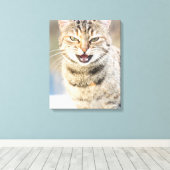 Mooie kat canvas afdruk (Insitu (Houten vloer))