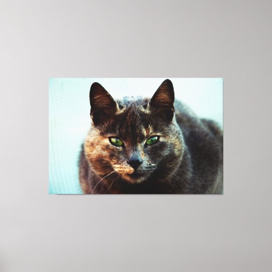 Mooie kat canvas afdruk (Voorkant)