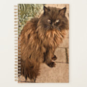 Mooie kat planner (Voorkant)
