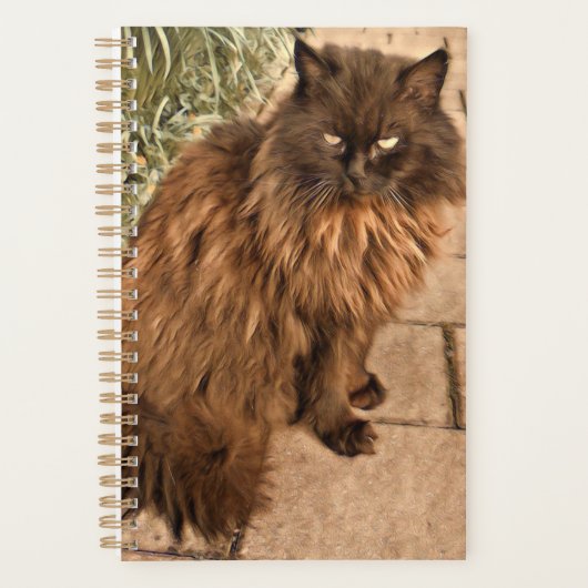 Mooie kat planner (Voorkant)