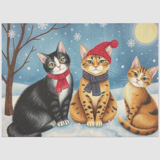 Mooie Kat Tissuepapier (Voorkant)