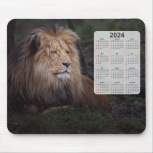 Mooie Katanga Leeuw 2024 Kalender Muismat