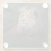 Mooie Katanga Leeuw Glazen Onderzetter (Achterkant)