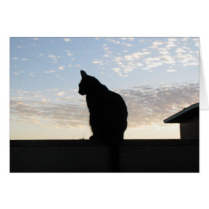 Mooie kattensilhouet bij zonsondergang