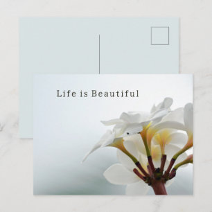 Mooie Kauai Plumeria Bloemen (foto genomen door mi Briefkaart