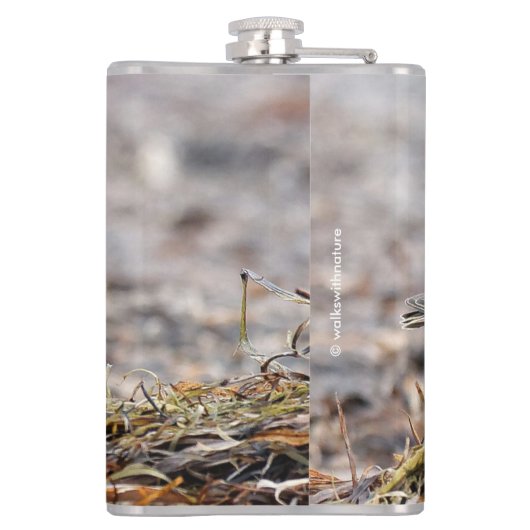 Mooie, keiharde Sandpiper bij het strand Heupfles (Achterkant)