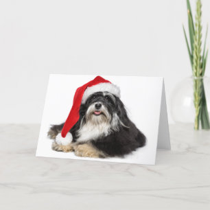 Mooie kerst Havanezer hond met kerstmuts Feestdagen Kaart
