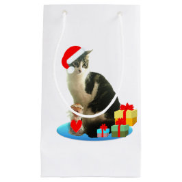 Mooie Kerst Tabby Cat Klein Cadeauzakje