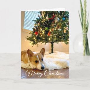 Mooie kerstboomfoto's van Corgi Feestdagen Kaart