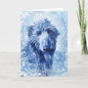 Mooie kerstkaart van Wolfhound Deerhound Feestdagen Kaart