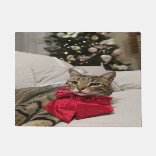 Mooie Kerstkat Deurmat (Voorkant)