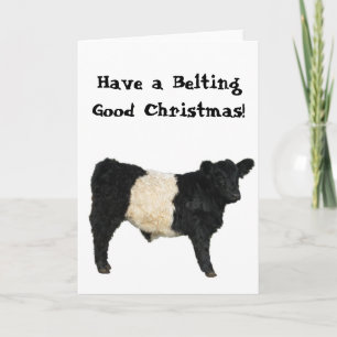 Mooie Kerstriem Belted Galloway Beltie Koe Kaart